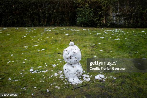 Snow man is pictured on a green meadow on January 04, 2021 in Berlin, Germany.