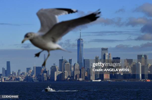 View of the lower Manhattan skyline from the Staten Island Ferry as a seagull flies by on January 04, 2021 in New York City.