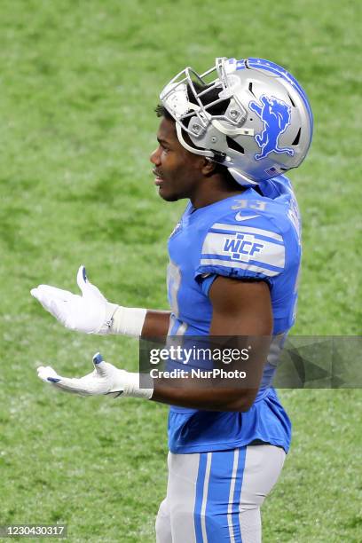 Detroit Lions running back Kerryon Johnson reacts to a call during the second half of an NFL football game between the Detroit Lions and the...