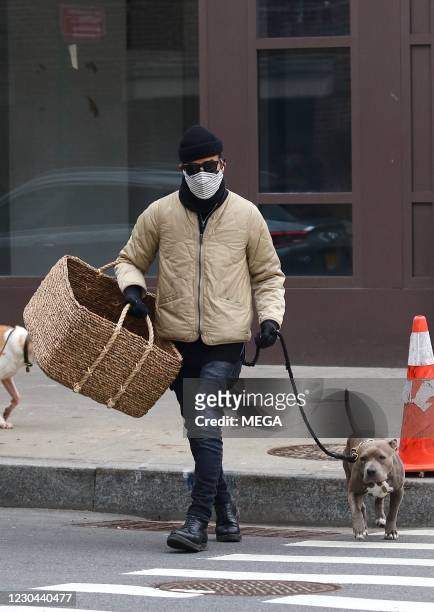Justin Theroux walks his dog Kuma on January 5, 2021 in New York City.
