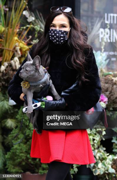 Famke Janssen takes her friend's dog Gloria for a walk on January 5, 2021 in New York City.
