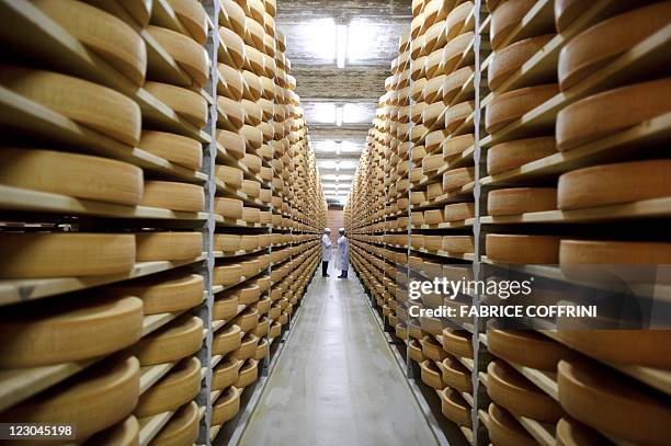 Gruyere cheese wheels mature in a giant cellar in Bulle, western Switzerland on August 29, 2011. Since at least 1115 AD in and around the small town...