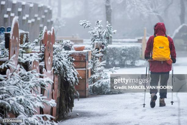 Man uses hiking sticks to walks along a snowy street during the the first snow fall of the year at Het Drielandenpunt in Vaals on January 7, 2021. /...