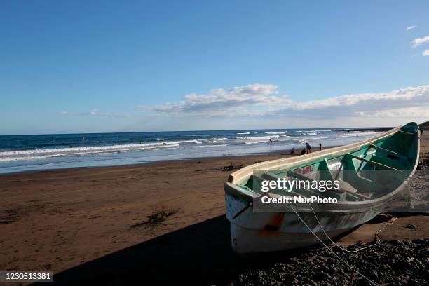 Boar is seen on Cabezo Beach, El Medano, Tenerife, Spain, on January 9, 2021. Migrants arrived at 5 of January 2021 at 4.30 am at the beach of El...