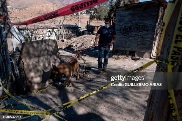 Julio Cesar Diaz, a volunteer dedicated to train dogs, walks with his dog looking for potential search spots as members of a group searching for...