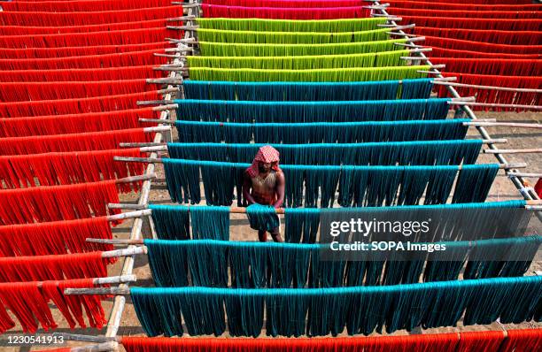 Weaver rinses the colourful Jute fibre to dry under sun which will be used to extract threads to make handloom dresses. The traditional dress of an...