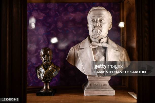 Picture taken on December 22, 2020 shows a bust of Louis Pasteur displayed at "La Salle des Actes", a reception room of the French scientist Louis...