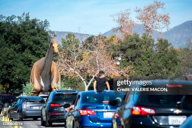 People drive past a Diplodocus during the Jurassic Quest Drive Thru event at the Rose Bowl, January 15 in Pasadena, California. - The Jurassic Quest...