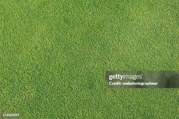 natural golf grass background - short stock pictures, royalty-free photos & images