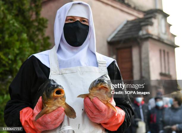 Sister Anastazja pose for a picture holding two carps. In Skotniki near Krakow, nuns from the Benedictine monastery sell carps. Carps is a tradition...