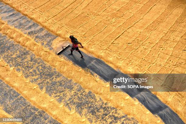 Worker seen sweeping out the dust from the paddy grains in a rice processing field. Drying of paddy grains is one of the most important step before...