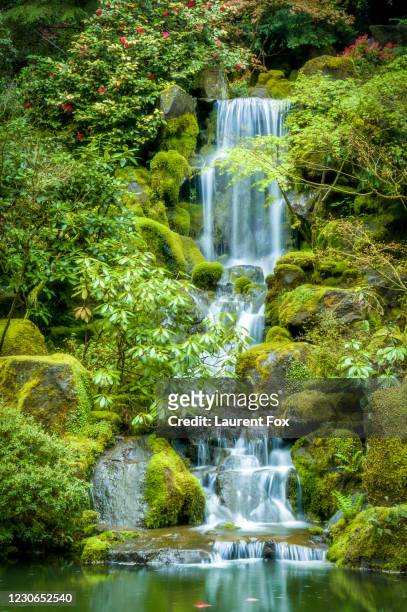waterfall wonder - oriental garden stockfoto's en -beelden