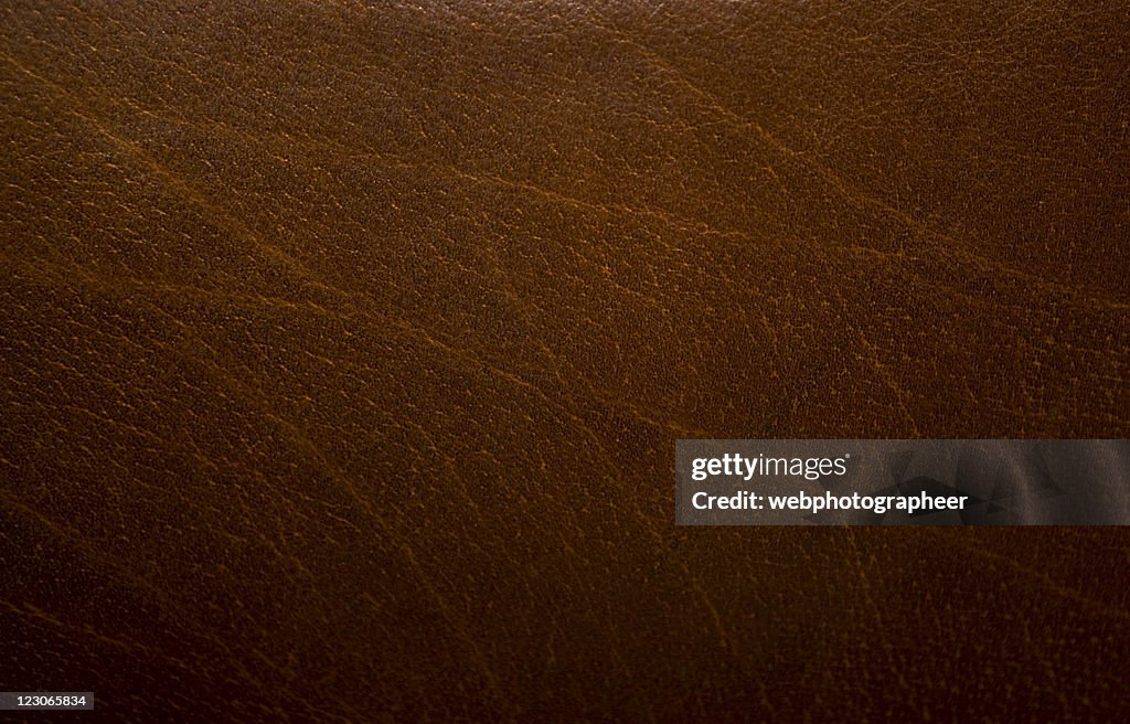 Leather structure background