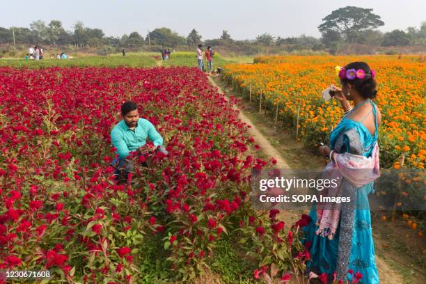 Woman takes pictures of her partner working at Khirai flower valley in West Bengal. Khirai is a small village in West Bengal. The area is very...