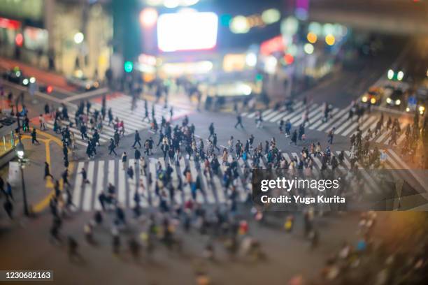 shibuya crossing in the evening (tilt-shift) - tilt shift stock pictures, royalty-free photos & images