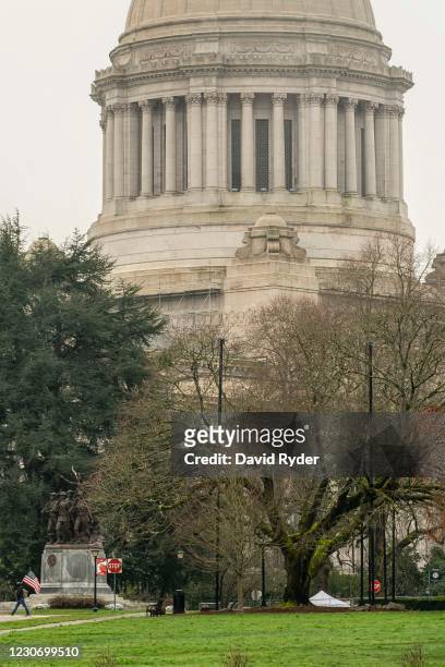 Man walks with a U.S. Flag on the Washington State Capitol campus on January 20, 2021 in Olympia, United States. One Donald Trump protester held a...