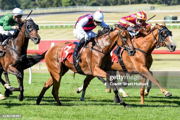 King Magnus ridden by Lachlan King wins the MRC Members Handicap at Ladbrokes Park Racecourse on January 23, 2021 in Springvale, Australia.