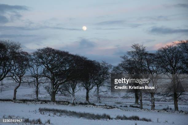 An almost full moon rises over a wintry landscape on 28th of December 2020 in Stow, Scottish Borders, United Kingdom. The few trees up in the hills...