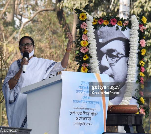 Kreatives Bild zu Mamata Banerjee Photographs Photos and Premium High Res Pictures Mamata Banerjee Photographs Photos and Premium High Res Pictures Illustration