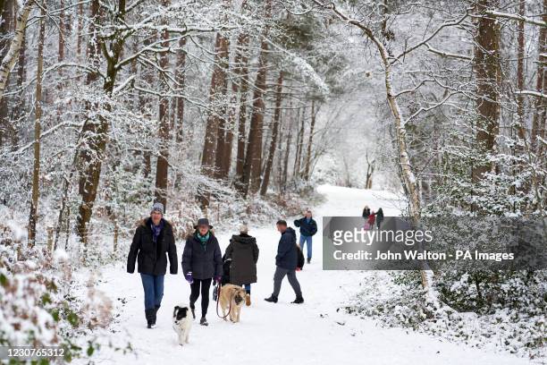 People walking in the snow in Barossa nature reserve, Camberley. Picture date: Sunday January 24, 2021.