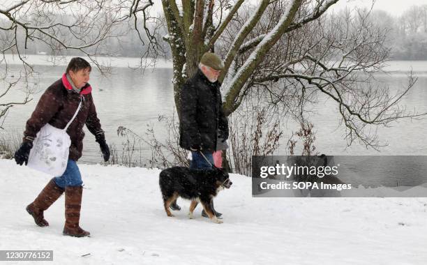 An elderly couple walk their dog during the snowfall. With severe weather warnings issued across the UK including the south and east of the country....