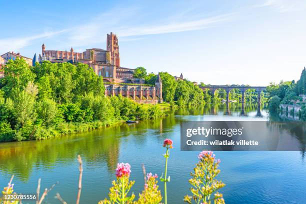 albi in a summer sunny day,france - albi imagens e fotografias de stock