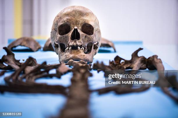This photograph shows a human cranium and skeleton at the judicial district of the French national Gendarmerie in Cergy-Pontoise, north-west of...