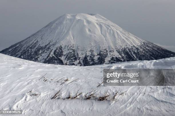 Mount Yotei, a 1,898 metre-high active stratovolcano, looms over the landscape on January 28, 2021 in Niseko, Japan. As one of Asias most popular ski...
