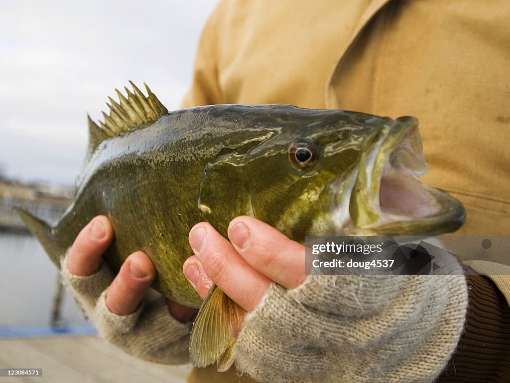 Holding a Smallmouth Bass