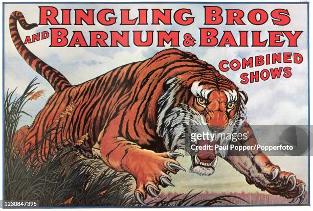 Vintage circus poster promoting the Ringling Brothers and Barnum & Bailey Circus, based in the United States, featuring a charging tiger, circa 1920.