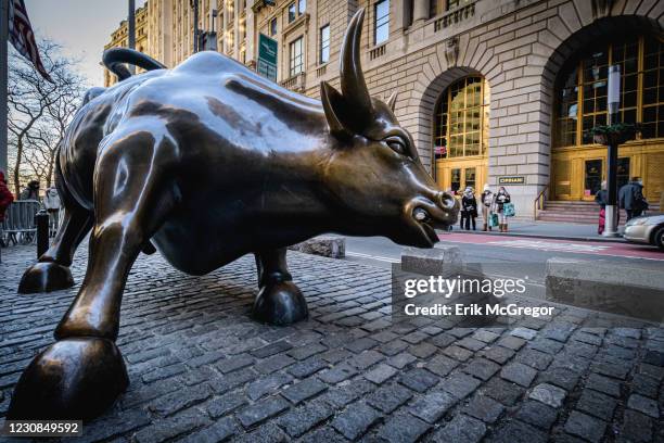 Wall Street Bull statue in New York's Financial District.