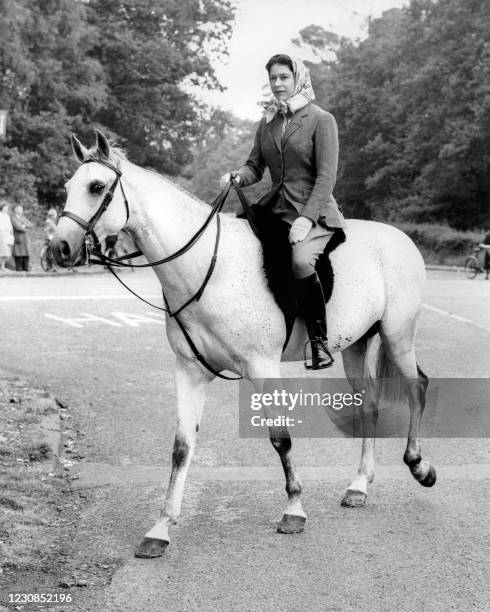 The Queen Elizabeth II leads members of her house party across the road to enter Ascot racecourse at Swinley Bottom on June 16 when her majesty and...