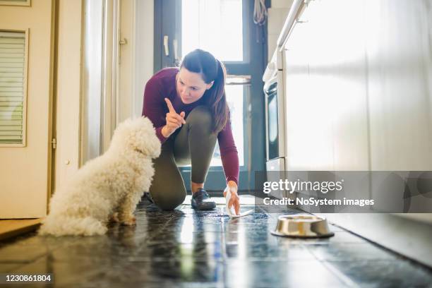 caught in a act - pissing stock pictures, royalty-free photos & images