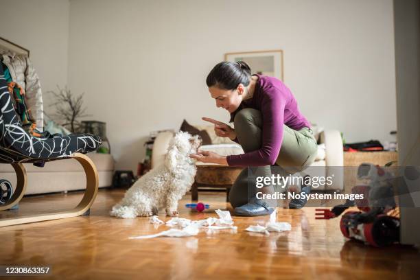 gevangen in een handeling - caught in the act stockfoto's en -beelden