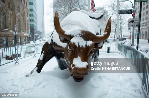 The Charging Bull Statue is covered by snow in Lower Manhattan during a winter storm on February 1, 2021 in New York City. - A powerful winter storm...