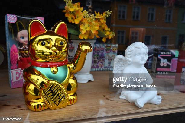 February 2021, Mecklenburg-Western Pomerania, Loitz: A Maneki Neko gold waving cat stands in a shop window in the town centre of Loitz in the...