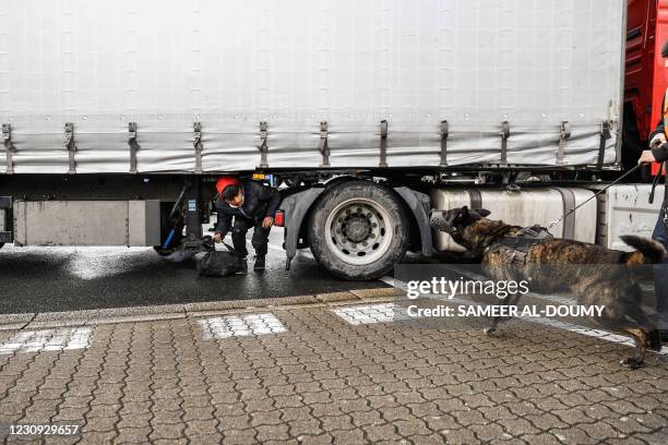 Security dog barks after detecting migrants hidden under a lorry headed to Ireland, at the port of Cherbourg, northwestern France, on February 2,...