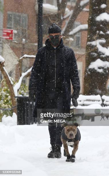 Justin Theroux walks his dog Kuma on February 2, 2021 in New York City.