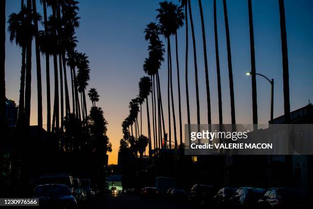 Palmtrees are seen as the sun sets on a street on February 4 in Hollywood, California.