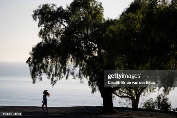 Hiker on the Summit Plateau lined with California pepper trees at the Ventura Botanical Garden, which has been replanted after the devastating Thomas...
