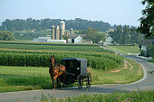Amish Farm Land