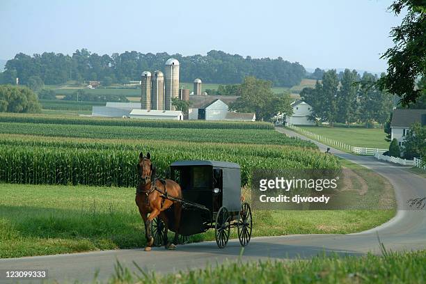 amish farm land - pennsylvania stock pictures, royalty-free photos & images