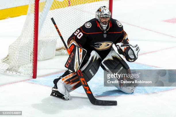 Goaltender Ryan Miller of the Anaheim Ducks tends net during the third period of the game against the San Jose Sharks at Honda Center on February 6,...