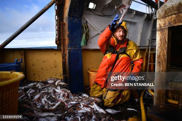 Plymouth fishing boat trawlerman Nick Hampshire sorts through the catch from the first trawl of the day on the stern trawler 'Nicola Anne', at sea...