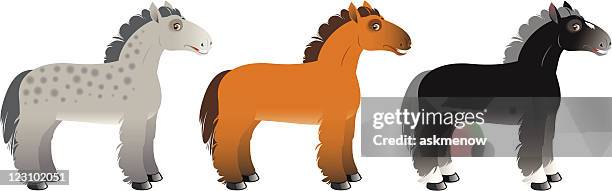 horses - bay horse stock illustrations