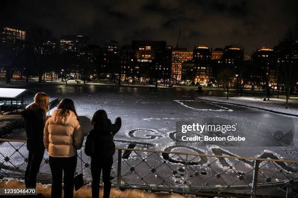 Boston Slush Boston Common Ducks Photos and Premium High Res Pictures - Getty Images