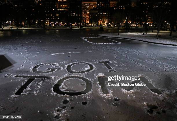 Boston Slush Boston Common Ducks Photos and Premium High Res Pictures - Getty Images