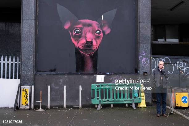 Man talking on his phone near to a piece of street art graffiti of a dog at Waterloo on 28th January 2021 in London, United Kingdom. Street art is an...