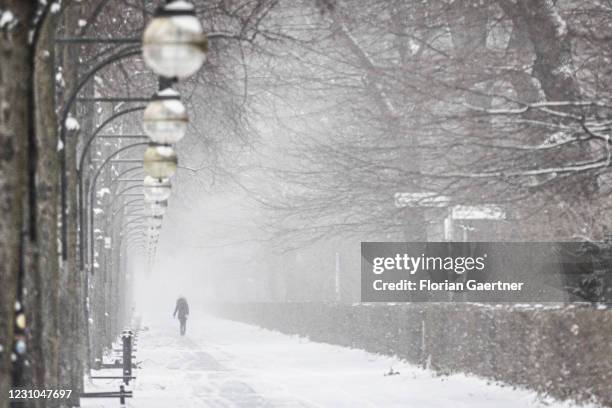 Woman is pictured during heavy snowfall at the park Tiergarten on February 08, 2021 in Berlin, Germany. In the northern part of Germany there is...