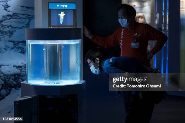 Employees playing the role of customers look at a water tank during a training session for employees held ahead of the reopening of the Hakkeijima...